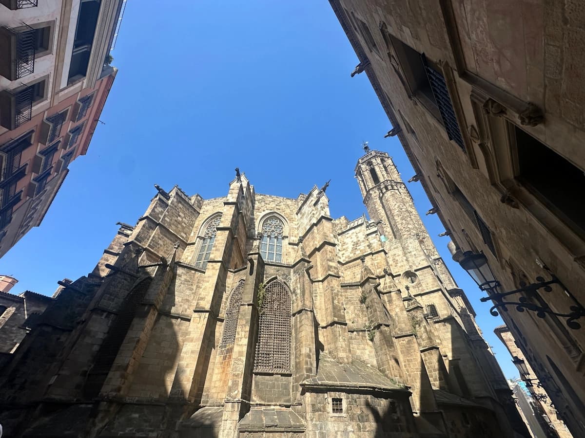 Medieval Gothic cathedral: exterior view from the rear.